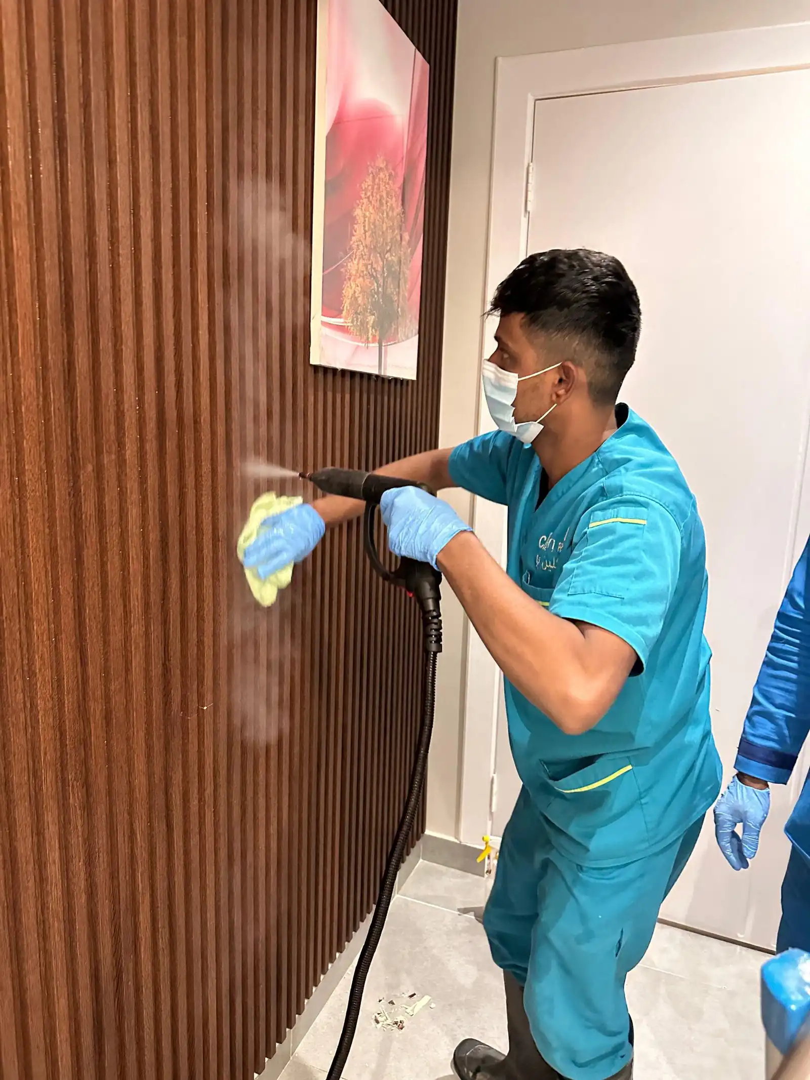 تنظيف المساند