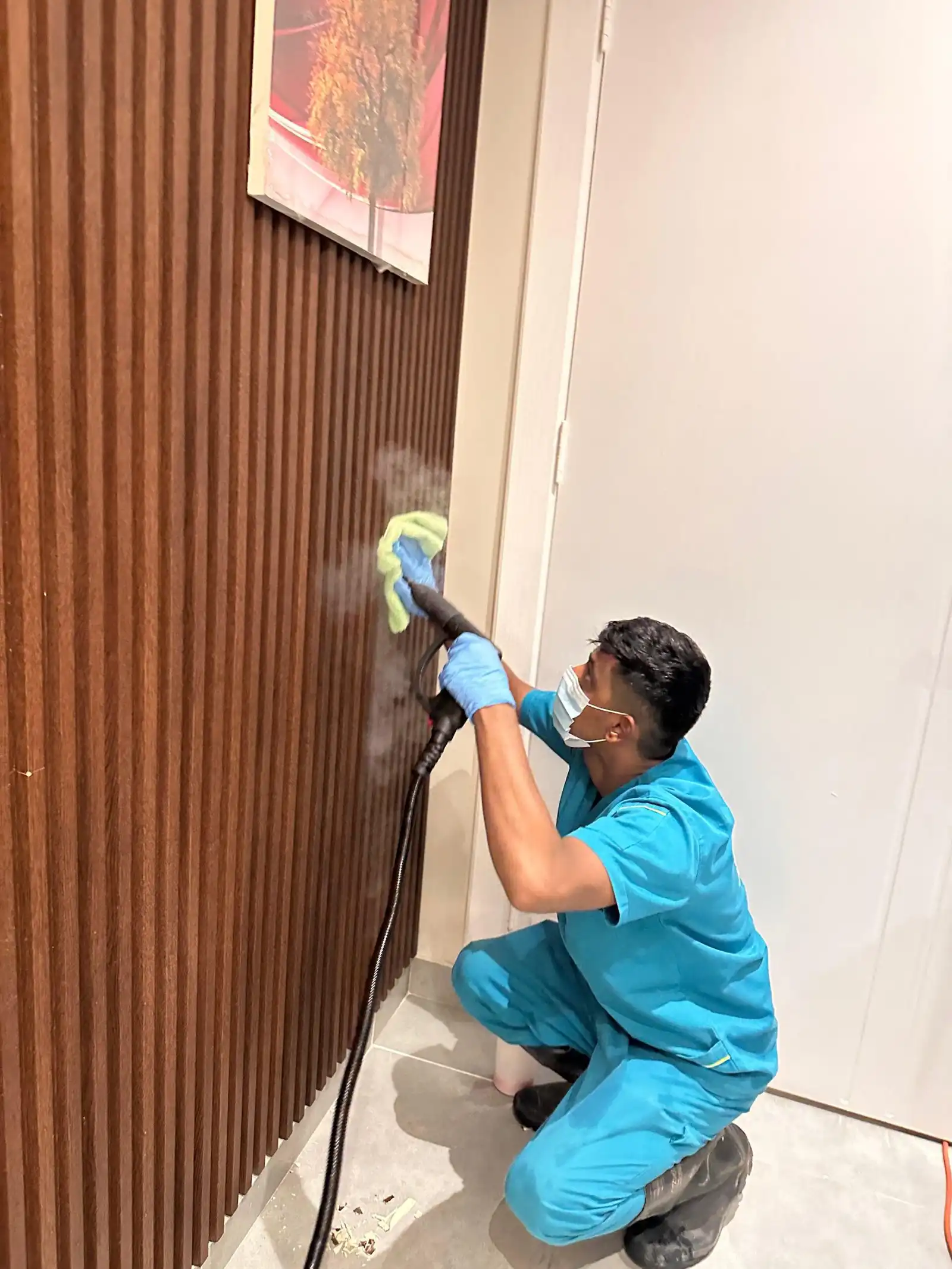 تنظيف الموكيت