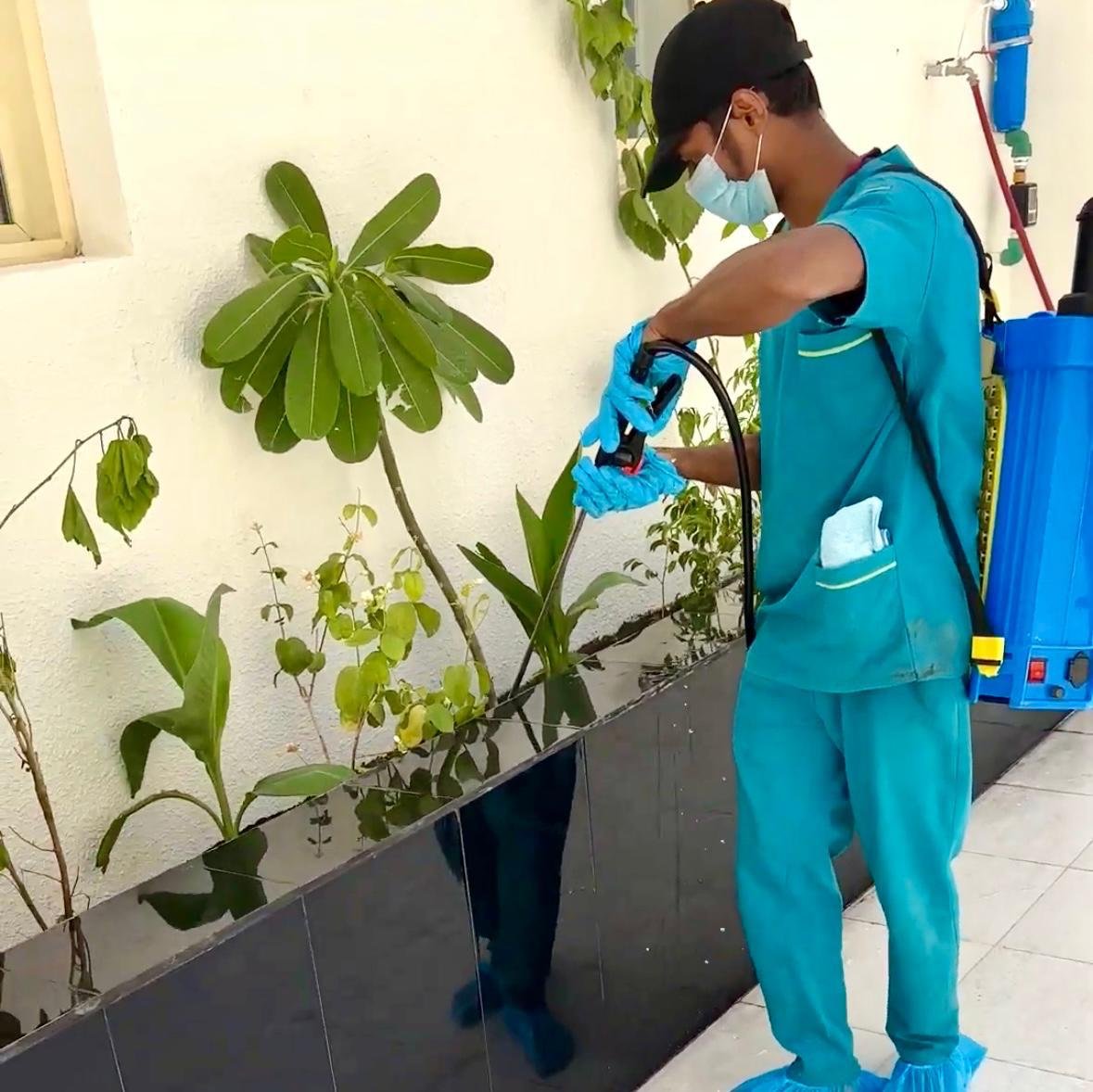 مكافحة الحشرات والآفات