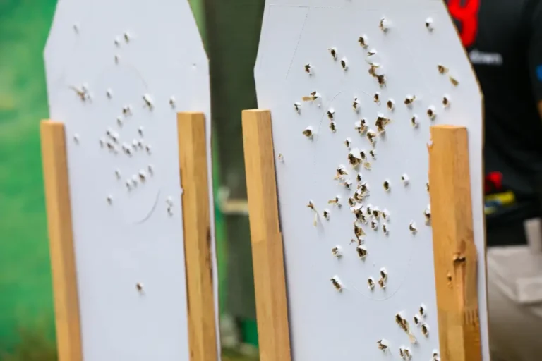 علاج الارضة في البيت - طرق سريعة بأقل التكاليف