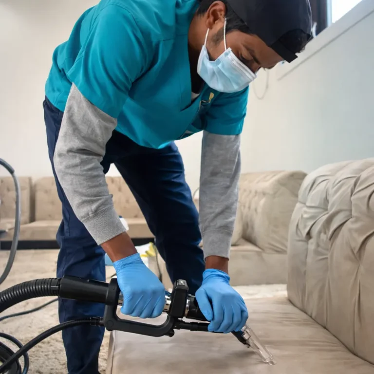 تنظيف المجالس