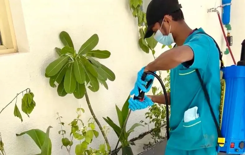 مكافحة الصراصير بتبوك