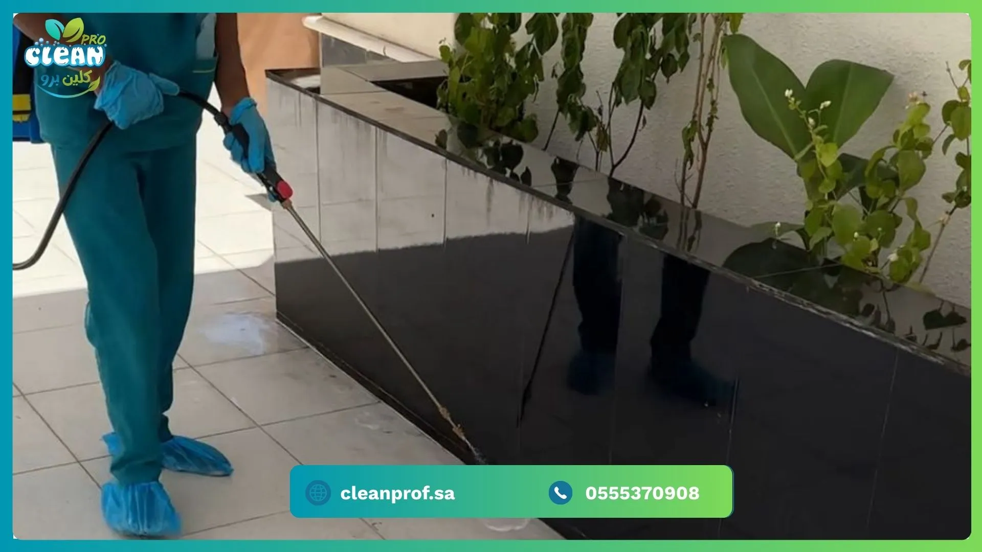 مكافحة الصراصير بتبوك