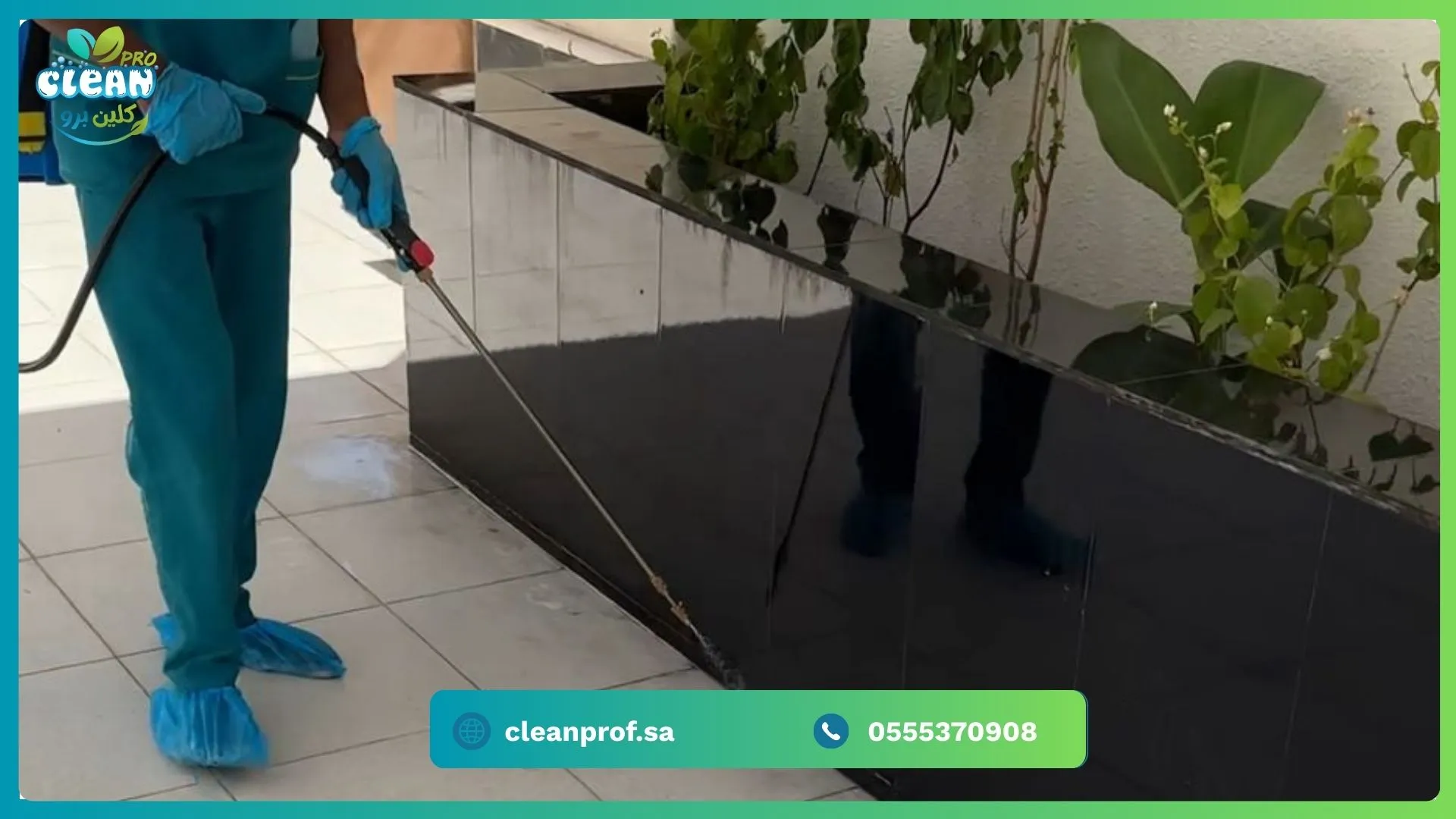 مكافحة الفئران بتبوك