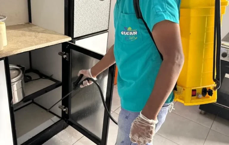 مكافحة النمل الأبيض